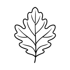 Oak leaf outline black and white nature