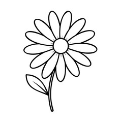 Simple daisy flower with leaf bloom petal