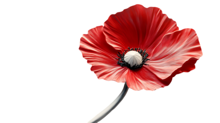 Red poppy bas relief pattern flower.png