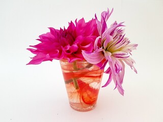 Pink dahlia flowers in a glass jar.