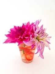 Pink dahlia flowers in a glass jar.