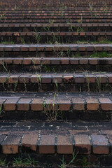 Overgrown Brick Stairs with Grass