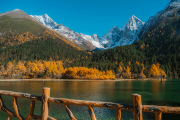 Bipenggou national park with the Beautiful  snow mountains in autumn, Chengdu ,Sichuan in China.