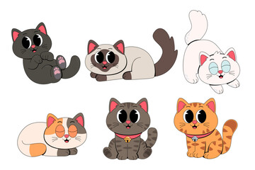 Cute Cat Collection