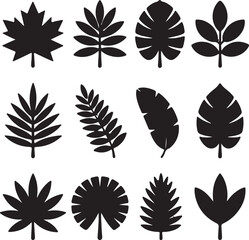 Set of leaf silhouettes in various shapes for nature design collection