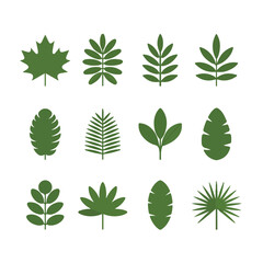 Green leaf collection with various plant and foliage illustrations in vector style