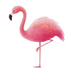 A delightful watercolor illustration of a pink flamingo standing on one leg with a long neck and beak isolated on transparent background