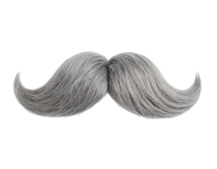 A detailed, realistic grey mustache with thick, curved hair strands extending outward from the center.
