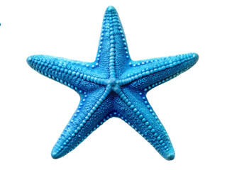  Blue starfish isolated on white background PNG.AI Generated.