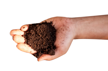 soil in hand with transparent background