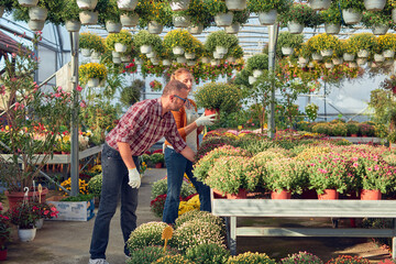 Man and woman working in a flower nursery greenhouse, taking care of plants and preparing it for...