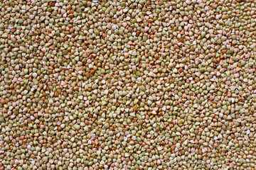 Fototapeta premium Raw buckwheat groats, a gluten-free superfood rich in fiber, protein, and minerals