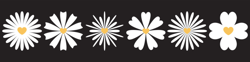 White Daisy Flowers with Yellow Heart Centers on Black Background. Icons of Stylized Chamomile Blossoms, Floral Decorative Elements for Romantic, Botanical, Nature-Inspired Design Projects