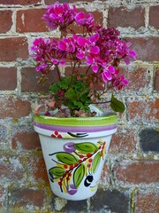 A decorative pot with pink geraniums.