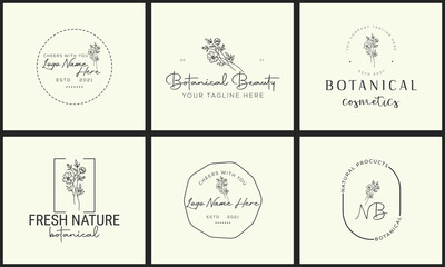 Minimal feminine botanical floral branch and logo. Hand drawn wedding herb, homeplant with elegant leaves. Botanical rustic trendy greenery