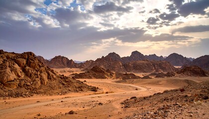 Naklejka premium Desert landscape with dramatic clouds