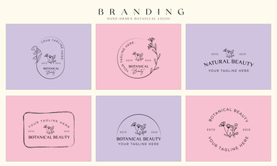 Minimal feminine botanical floral branch and logo. Hand drawn wedding herb, homeplant with elegant leaves. Botanical rustic trendy greenery