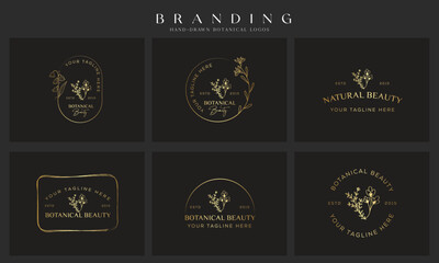 Minimal feminine botanical floral branch and logo. Hand drawn wedding herb, homeplant with elegant leaves. Botanical rustic trendy greenery