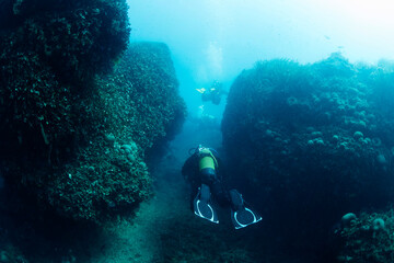 divers diving between seabed rocks covered in marine life, concept of scuba diving and underwater adventure