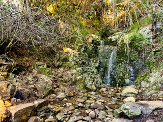 View of Mysterious mountain forest stream