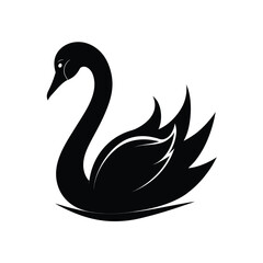 Elegant black swan silhouette floating gracefully on a white background vector design