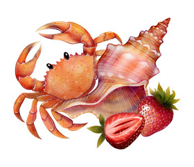 Watercolor illustration of a crab, seashell, and strawberries on white background. Perfect for packaging, beach-themed cards, summer food design, seafood and fruit decoration.