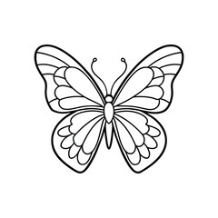 Butterfly line art, butterfly line drawing