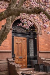 Brownstone Entrance with Magnolia Blossoms