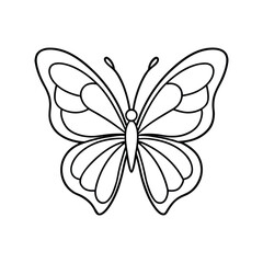 Butterfly line art, butterfly line drawing