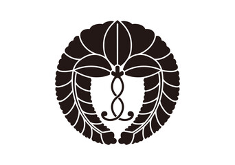 奈良春日大社　軸付き下り藤