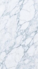 White Marble Texture with Intricate Gray Veins