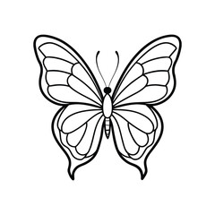 Butterfly line art, butterfly line drawing