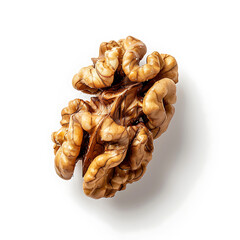 Whole Walnut Kernel Isolated on White Background