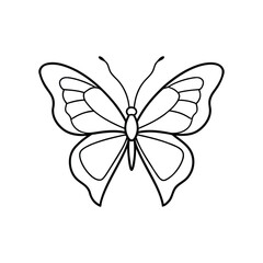 Butterfly line art, butterfly line drawing
