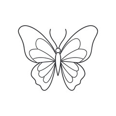 Butterfly line art, butterfly line drawing
