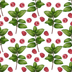 Seamless pattern with mint branches and raspberries, watercolor drawing. Ideal for tea packaging and botanical designs.
