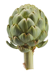 Fototapeta premium artichoke on white background. close up.