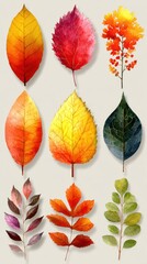 Colorful autumn leaves in various shapes and sizes showcases seasonal change in nature
