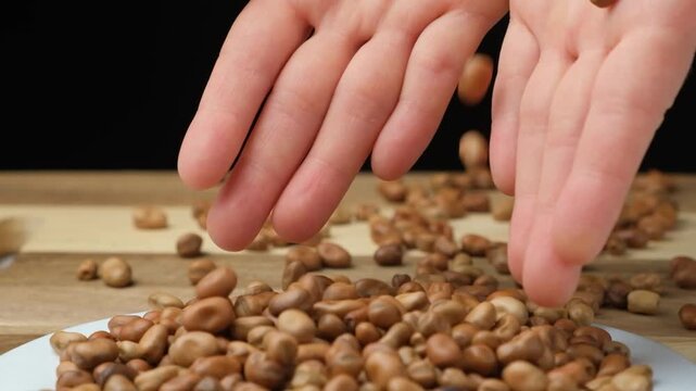 Hands pour raw uncooked vicia faba beans slow motion