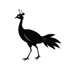 Elegant black silhouette of a peacock walking gracefully in side profile