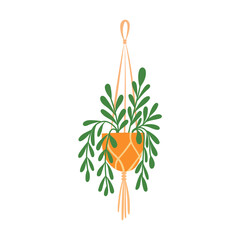 Macrame Plant Hangers with Green Plants in Pots for Home Decor, Interior Design, and Boho Style Modern Indoor Gardening Ideas for Apartments and Living Rooms.