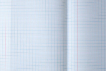 Graph paper notebook texture pattern background