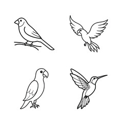 set of birds vector line art