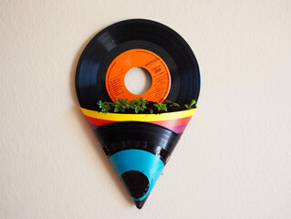 Unique upcycled vinyl record planter with green plants, adorned with vibrant stripes, hanging on a light wall. A creative and sustainable home decor concept.