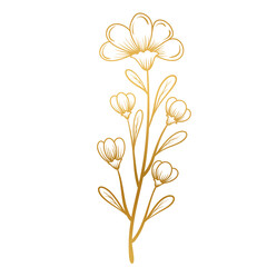 Flower gold line art.
