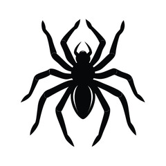 Intimidating tarantula spider in defensive stance black silhouette vector art