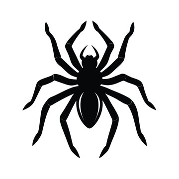 black spider silhouette on white background clip art preview