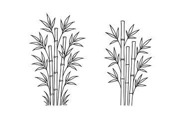 rosemary isolated on white