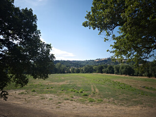 Il campo circondato dalle querce