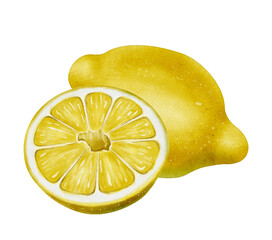Lemon fruit with juicy sliced half, watercolor drawing on white background. Perfect for food packaging, kitchen decor, citrus labels, summer design, menus, healthy lifestyle projects and recipes. 